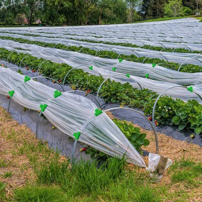 Heavy Duty Mini Greenhouse Clamps（12PCS）