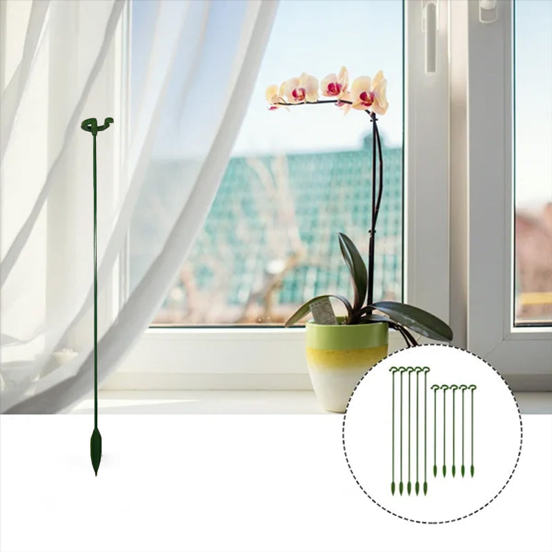 Single Plant Stem(10PCS)